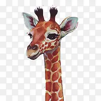 水彩鹿-空若网 水彩鹿-空若网