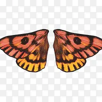 翅膀蝴蝶翅膀黄黑翅膀-空若网 翅膀蝴蝶翅膀黄黑翅膀-空若网