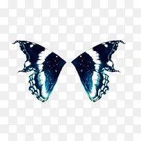 ������� �����ĳ��-������