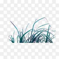 草-空若网 草-空若网