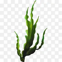 水草-空若网 水草-空若网