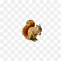 动物-空若网 动物-空若网