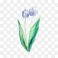 ��ɫ����ܰˮ��ͼ��-������