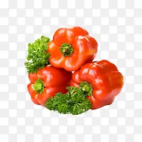 ºìÊÁ½·ÐÂÏʸßÇåÊß²Ë-¿ÕÈôÍø ºìÊÁ½·ÐÂÏʸßÇåÊß²Ë-¿ÕÈôÍø