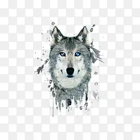 �ֻ���-������