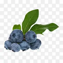 蓝莓-空若网 蓝莓-空若网