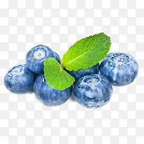 蓝莓-空若网 蓝莓-空若网