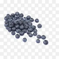 蓝莓-空若网 蓝莓-空若网