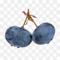 蓝莓-空若网 蓝莓-空若网