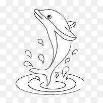 海豚 动物 可爱-空若网 海豚 动物 可爱-空若网