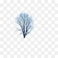 ¶¬¼¾Ê÷Ö¦²å»±³¾°-¿ÕÈôÍø ¶¬¼¾Ê÷Ö¦²å»±³¾°-¿ÕÈôÍø