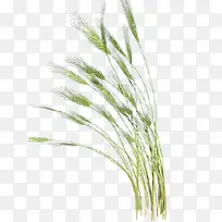 ÂÌÉ«¹·Î²°Í²Ý-¿ÕÈôÍø ÂÌÉ«¹·Î²°Í²Ý-¿ÕÈôÍø