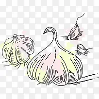 手绘蒜-空若网 手绘蒜-空若网