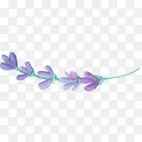 ޹�²�-������