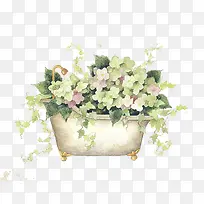 水彩白花浴缸-空若网 水彩白花浴缸-空若网