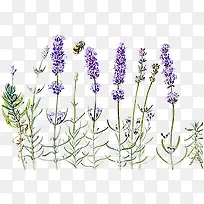 ޹�²���ɫ޹�²�-������