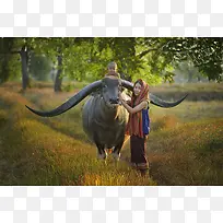 大牛和女孩人文摄影-空若网 大牛和女孩人文摄影-空若网