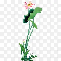 ��-�ɻ�ˮ�ʺɻ�-������