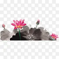 ˮ�ʺɻ���Ҷ-������