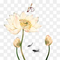 ˮ�ʺɻ� ���� ��-������