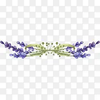 薰衣草-空若网 薰衣草-空若网