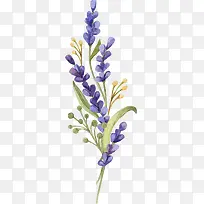 ޹�²�-������