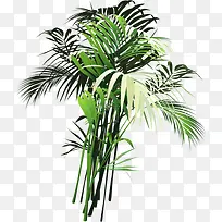 手绘植物-空若网 手绘植物-空若网