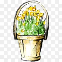 ���ֻ�ˮ��Ψ��ֲ��-������