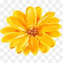 水彩向日葵的花瓣-空若网 水彩向日葵的花瓣-空若网