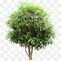 ɣ�� png�ز�-������