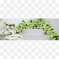 室内小清新花房摄影图-空若网 室内小清新花房摄影图-空若网