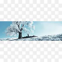 ����-������