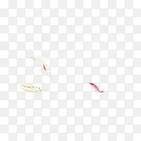 白色海鱼-空若网 白色海鱼-空若网