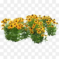 ���տ�png�ز�-������