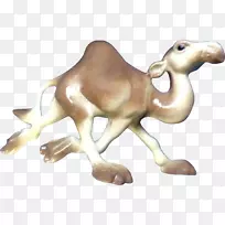 ���ն��������Ⱥ.����-������