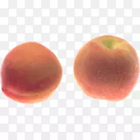 桃子图标-桃PNG图像-空若网 桃子图标-桃PNG图像-空若网