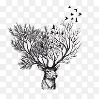 ¹ͷ-������