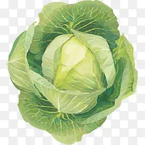 ������Ӱ��ɫ���߲˰ײ�-������