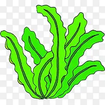 海草-空若网 海草-空若网