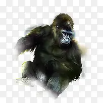 �ֻ����ɶ��ﴴ��-������