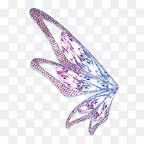 扇形艺术-艺术爱好者俱乐部-翅膀-空若网 扇形艺术-艺术爱好者俱乐部-翅膀-空若网