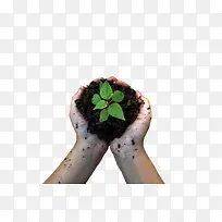 ��������һ����-������