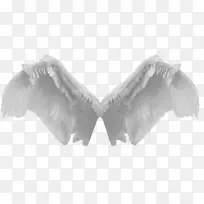 退色艺术单色摄影-翅膀-空若网 退色艺术单色摄影-翅膀-空若网