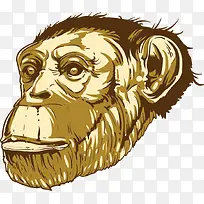 矢量卡通猩猩-空若网 矢量卡通猩猩-空若网