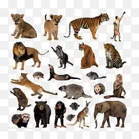 ��������-������