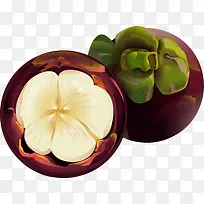 矢量山竹-空若网 矢量山竹-空若网