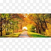 ������Ӱ����-������