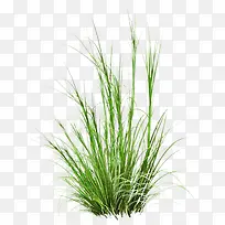 �̲ݲ�ƺװ��-������