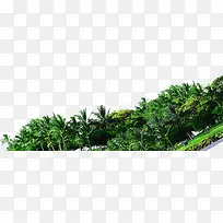 合成摄影度假区绿色的森林-空若网 合成摄影度假区绿色的森林-空若网