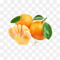 橘子-空若网 橘子-空若网